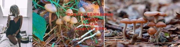 меф VHQ Дмитровск