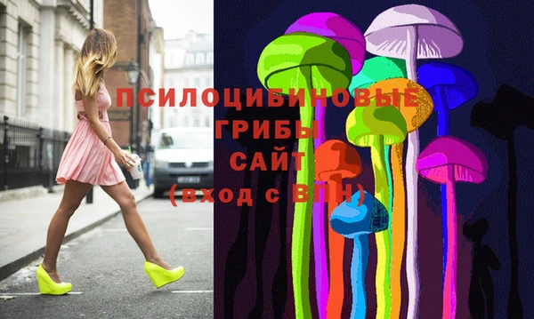 2c-b Дмитриев